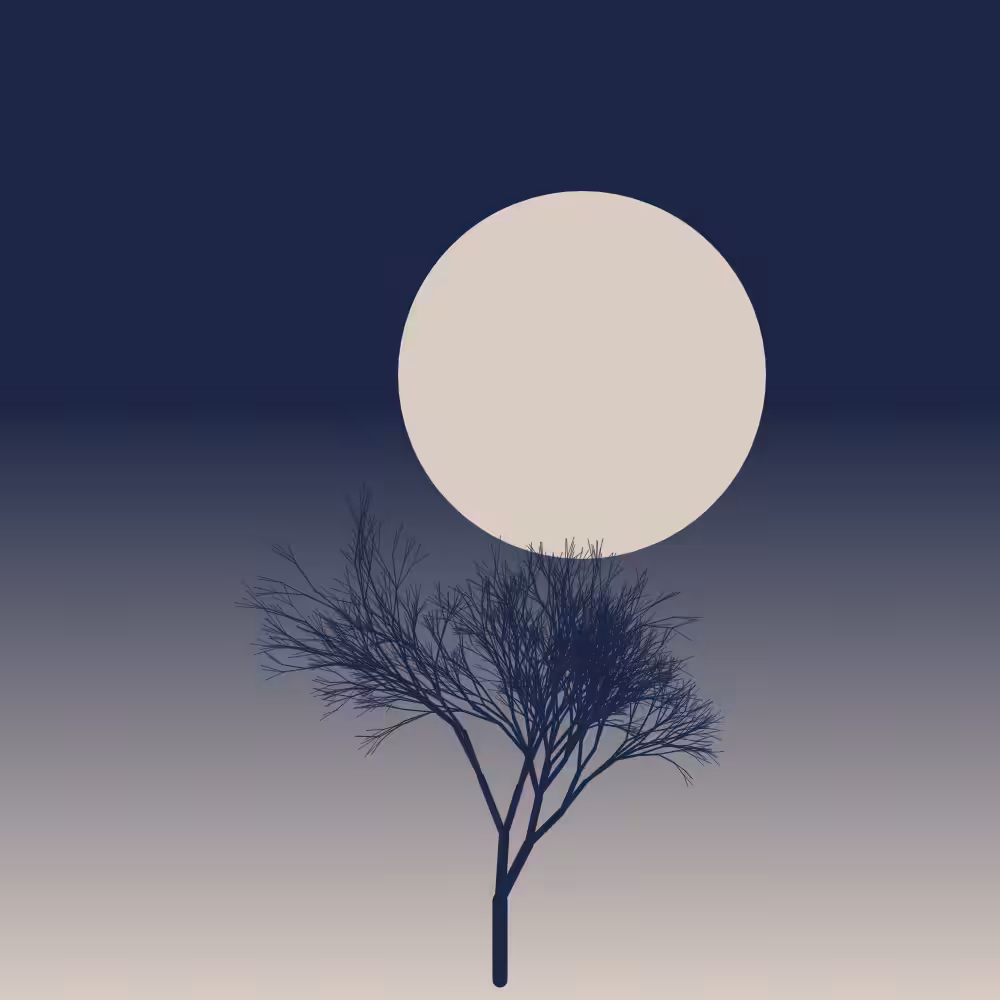 Sakura at night #16