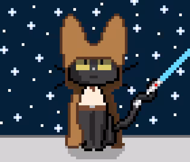 #16 Jedi Cat