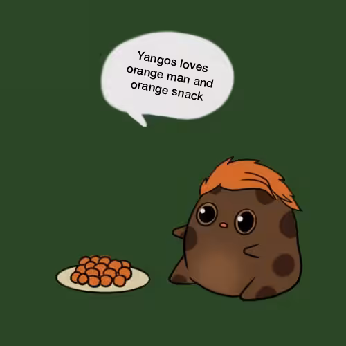 CHOCO CHIPS: Choco Yangos