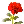 red rose 03