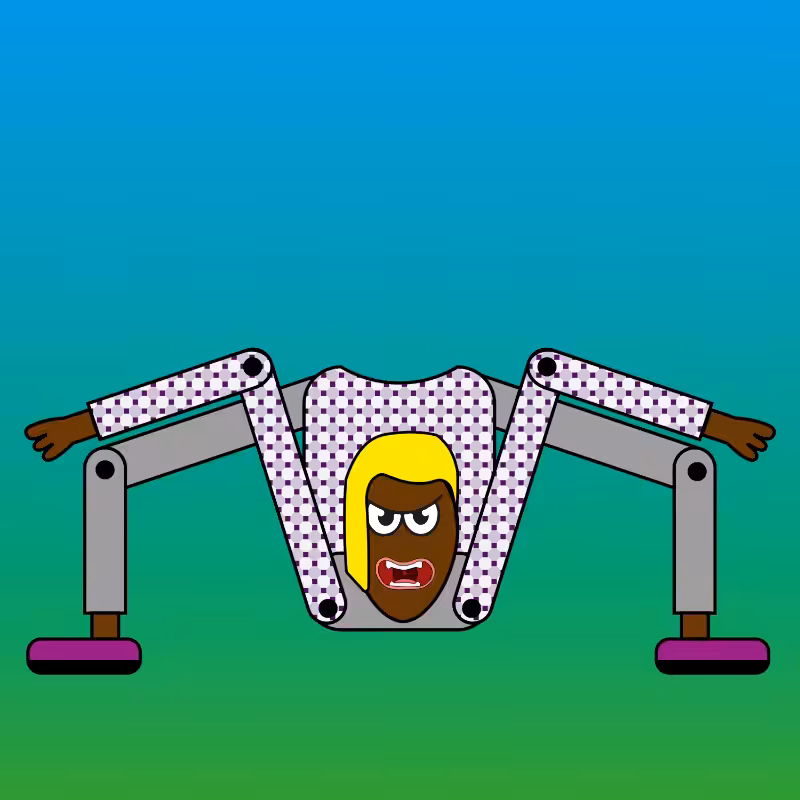 NOBODY SPIDER  #86