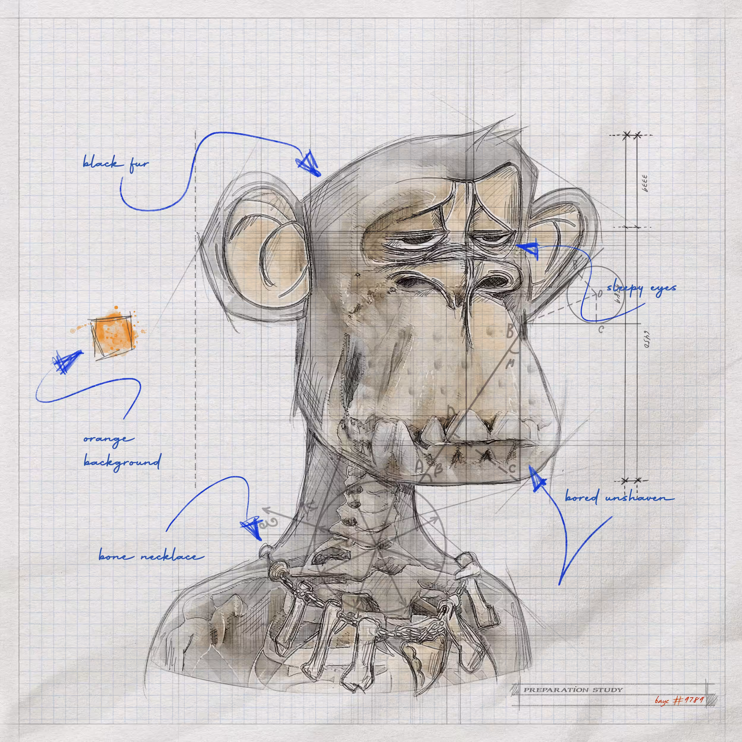 Ape #9789