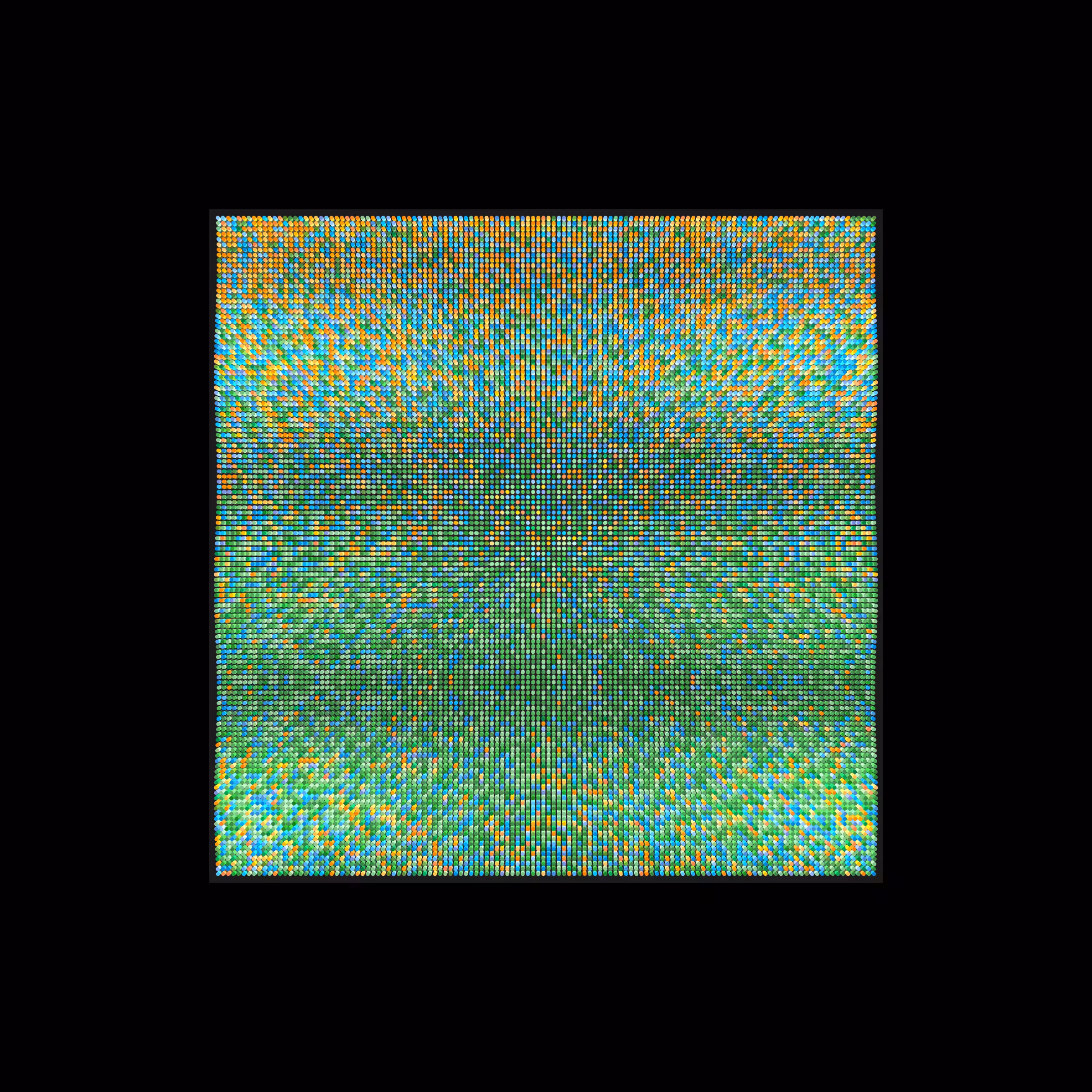 Transitions #1089