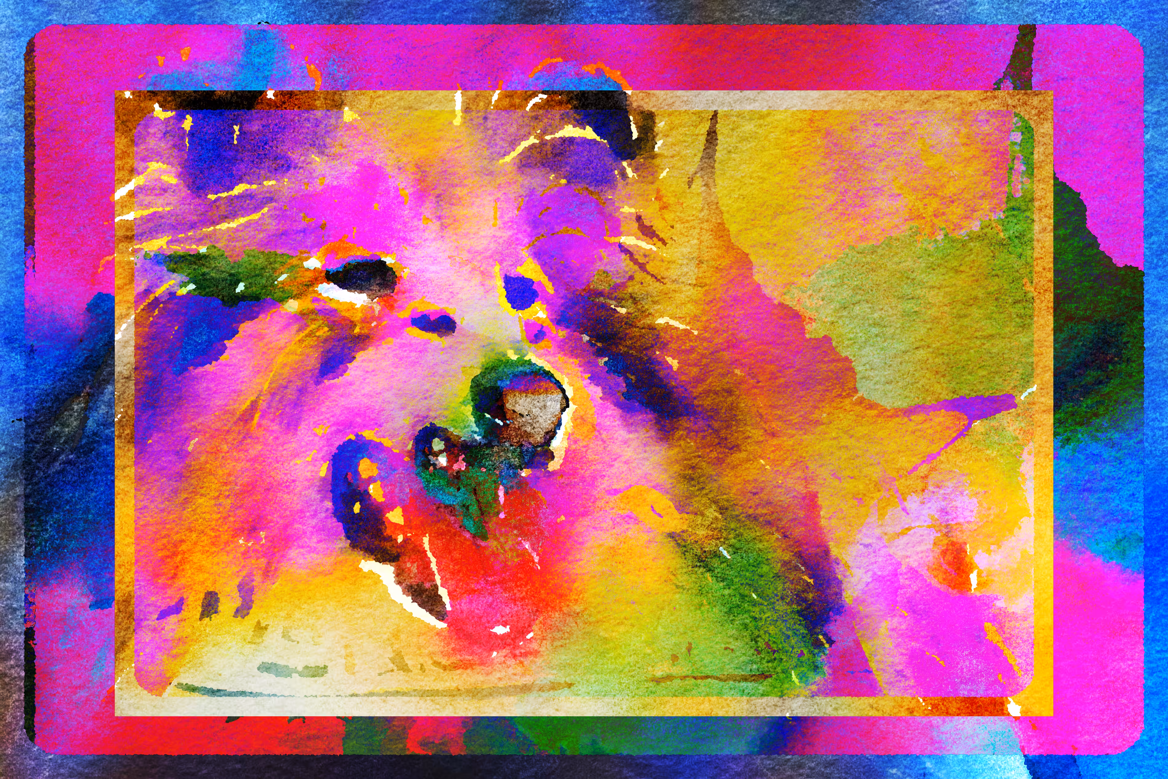Cat a Dog II