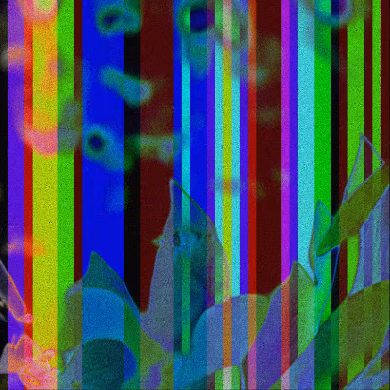 CLDCSMC #32