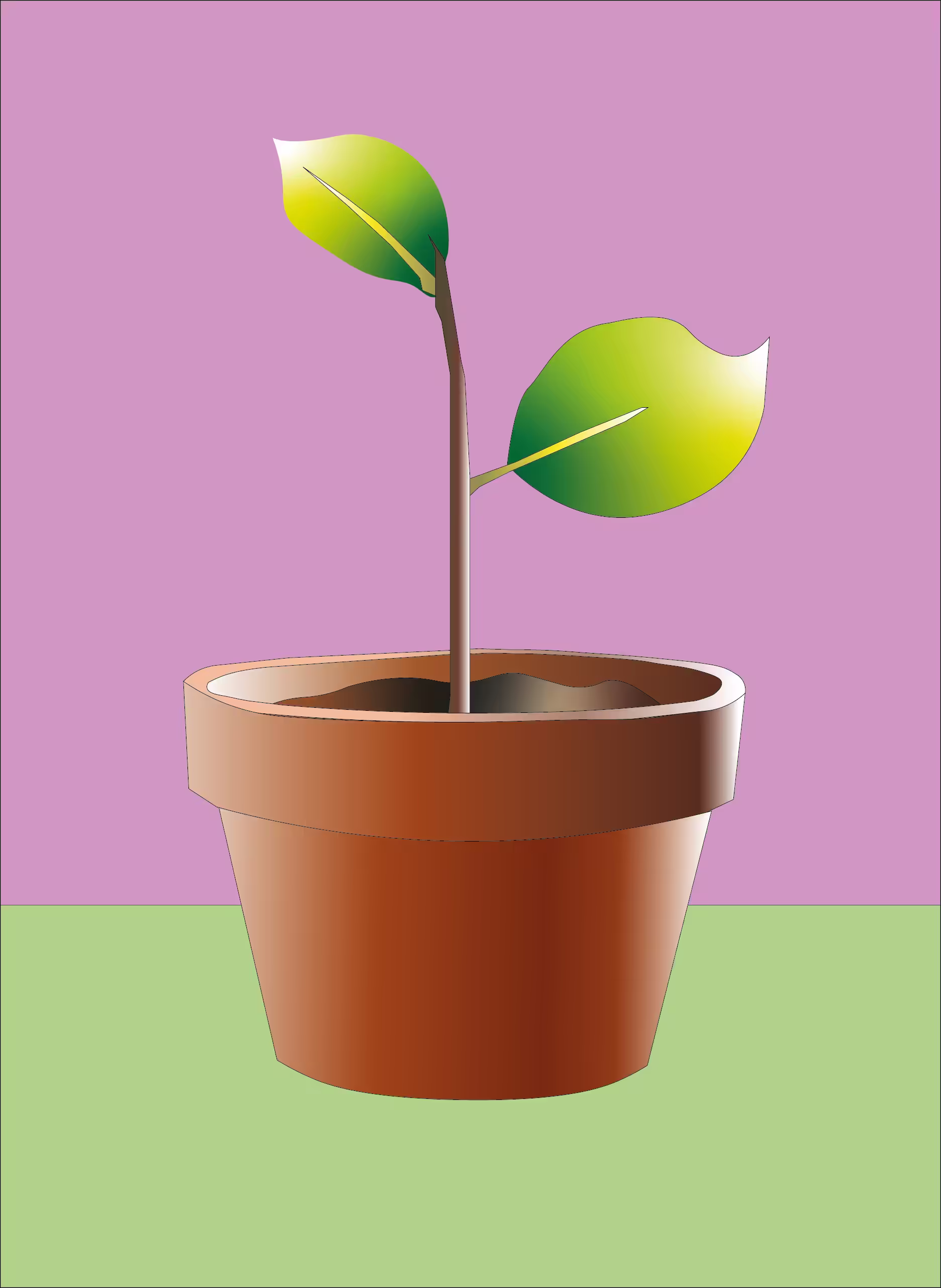 Growing plant