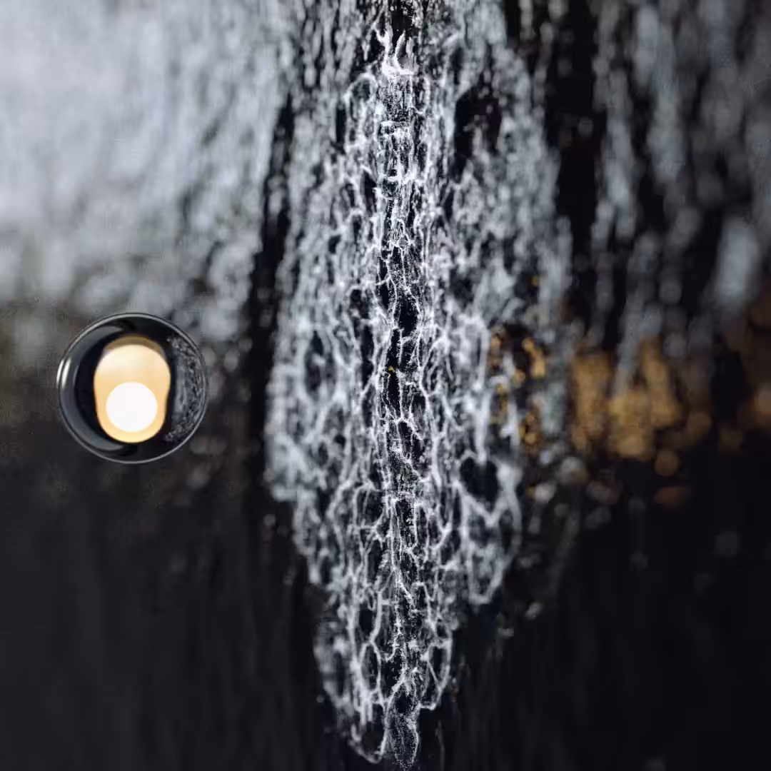 Reflections II - Explore