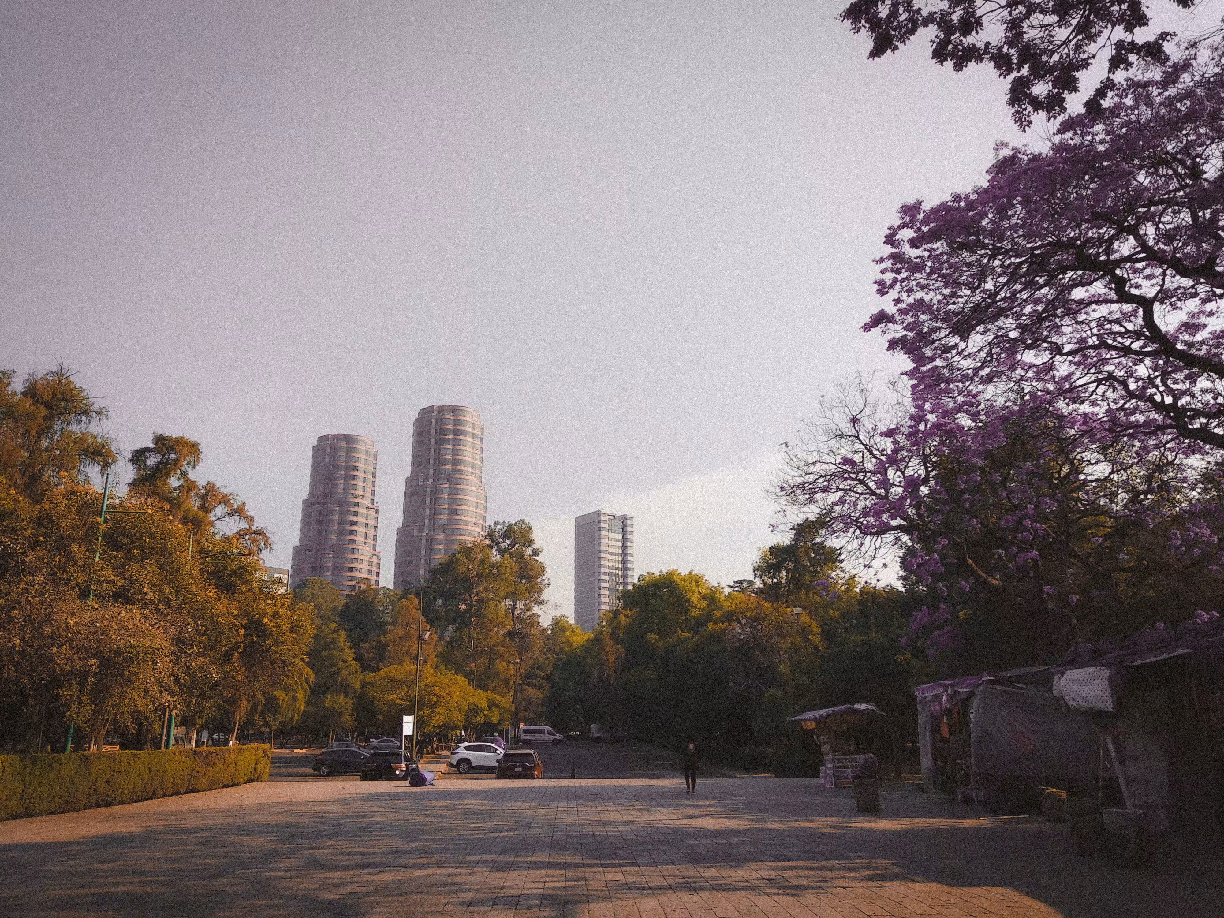 MEXICO CITY POP