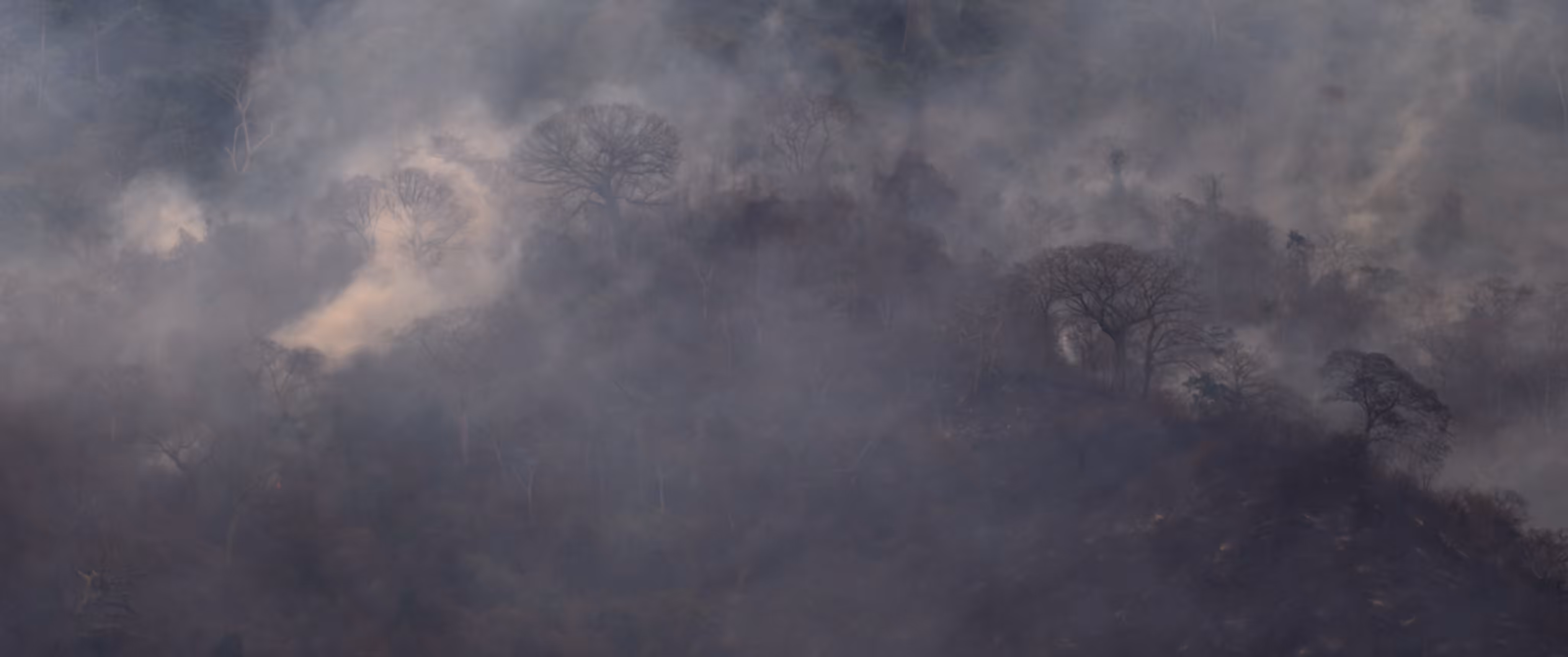Mostrador Still #31