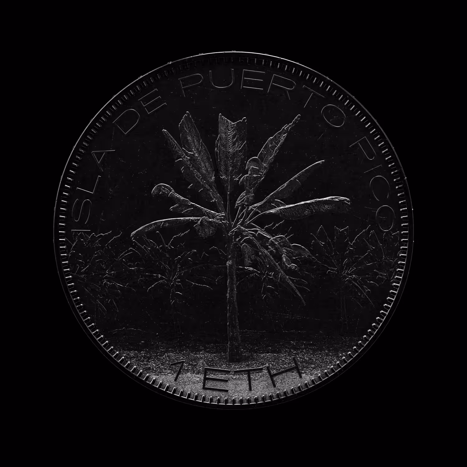 Isla de Puerto Rico #2