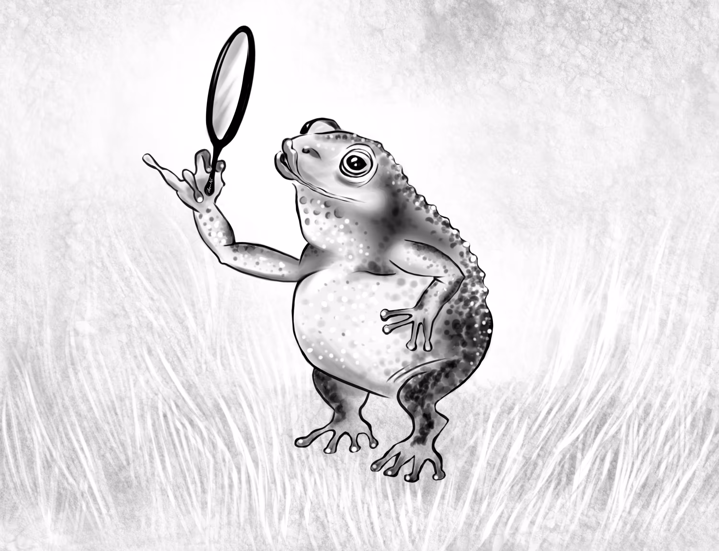 Toad