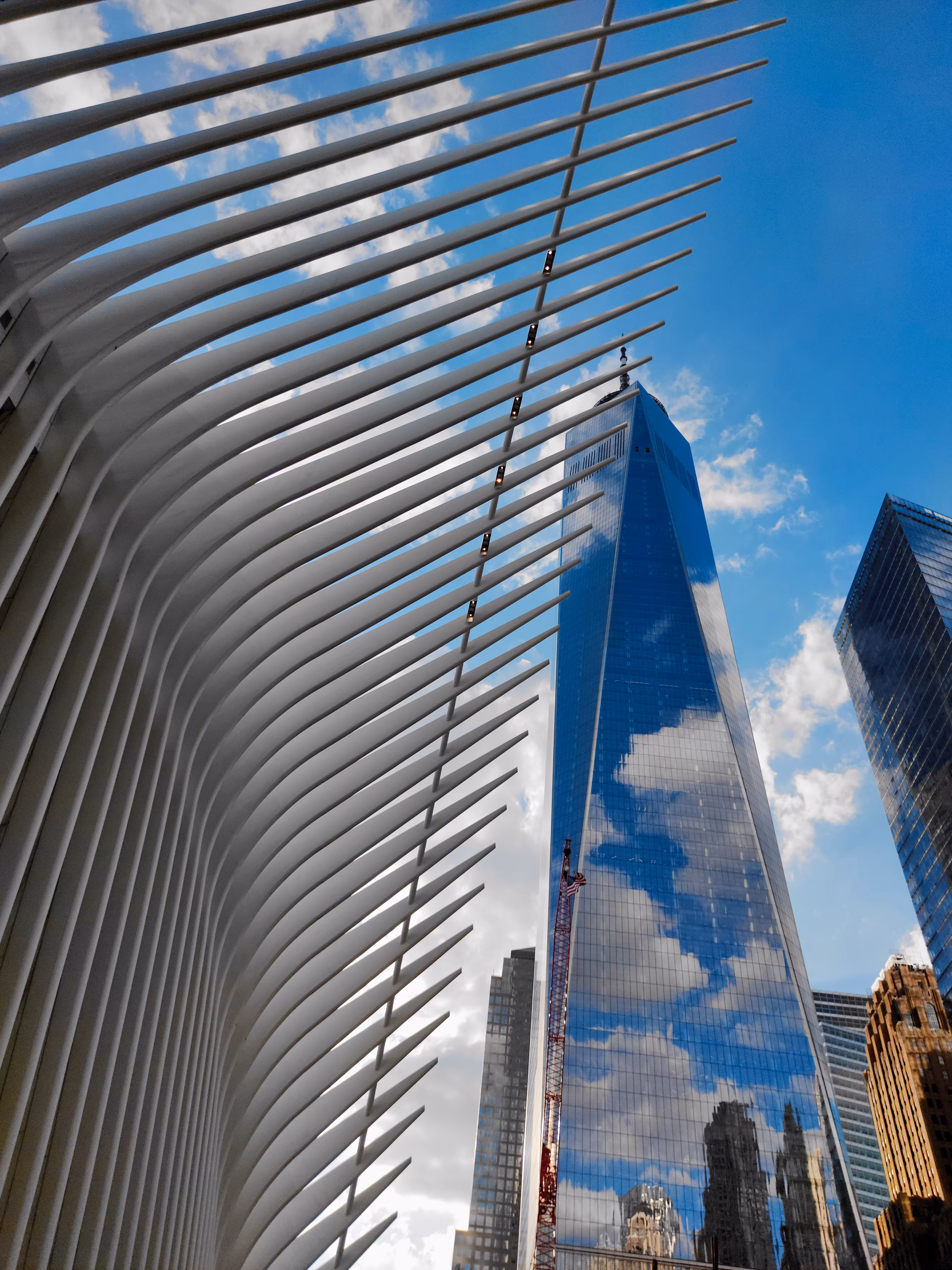 Just The Ones | NY-4