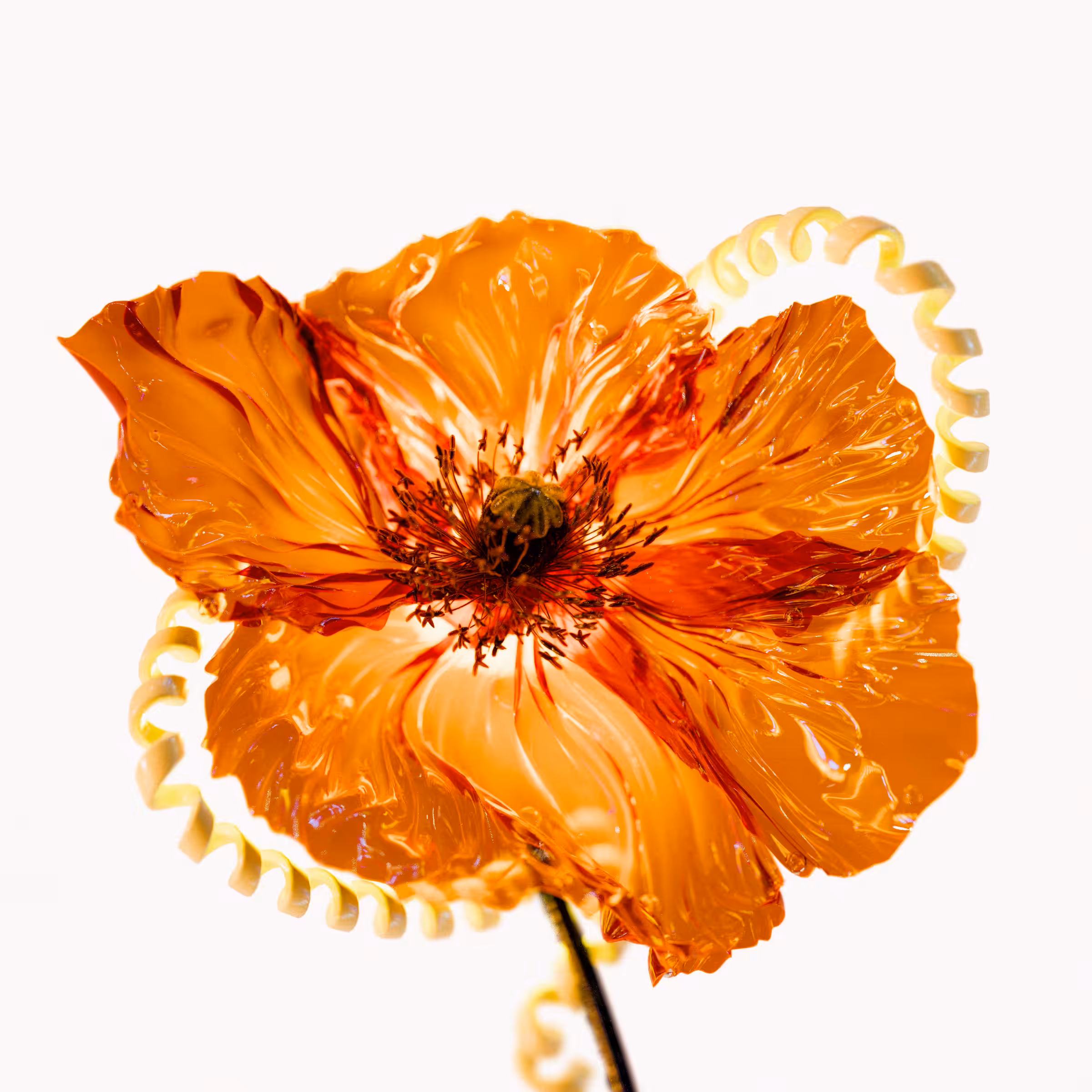 Flower #25 by Olivia Pedigo