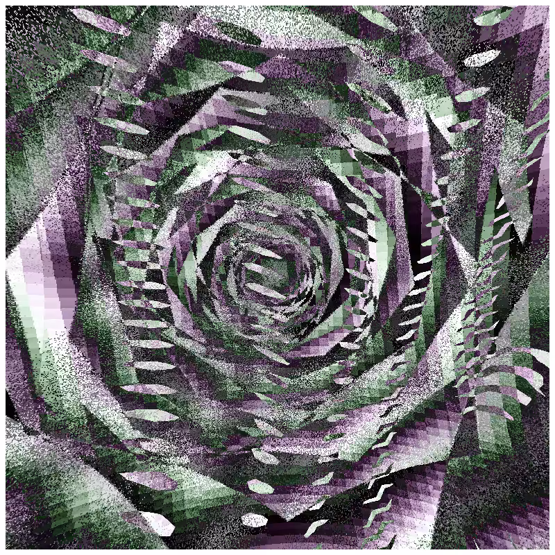rosette #199