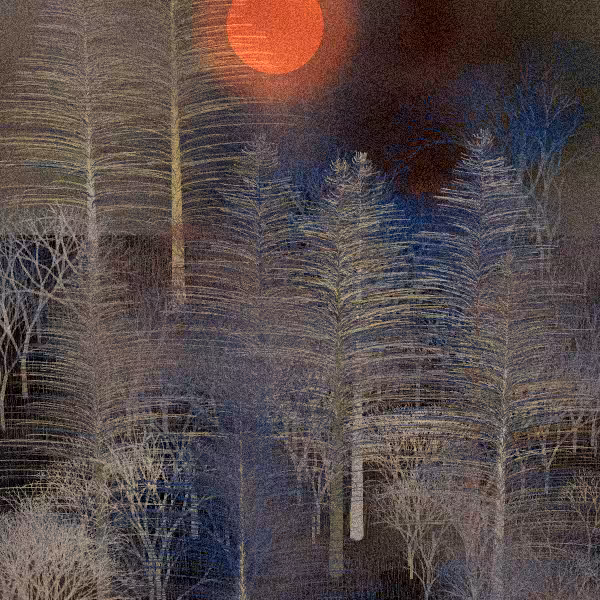 Moonlit Native Bush #10
