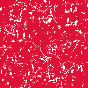 82