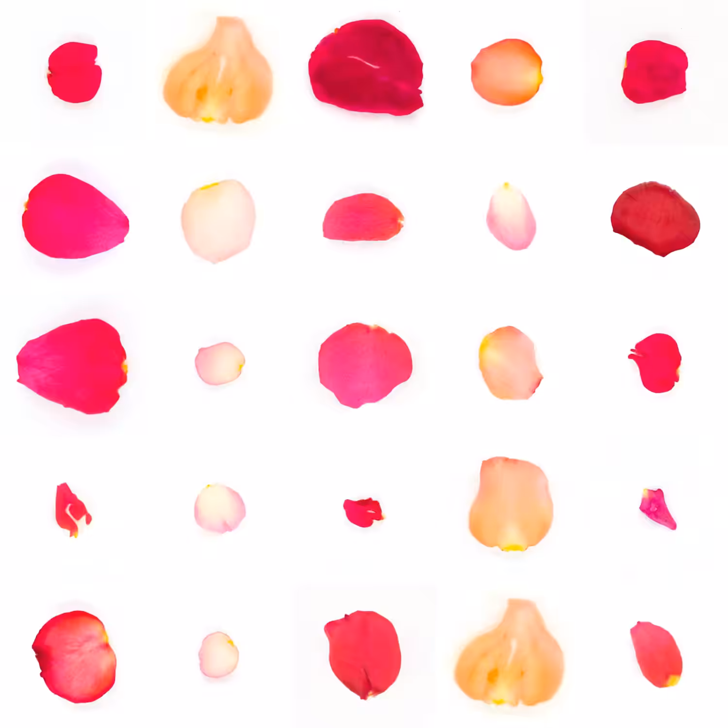 Infinite Petals 5x5#20265