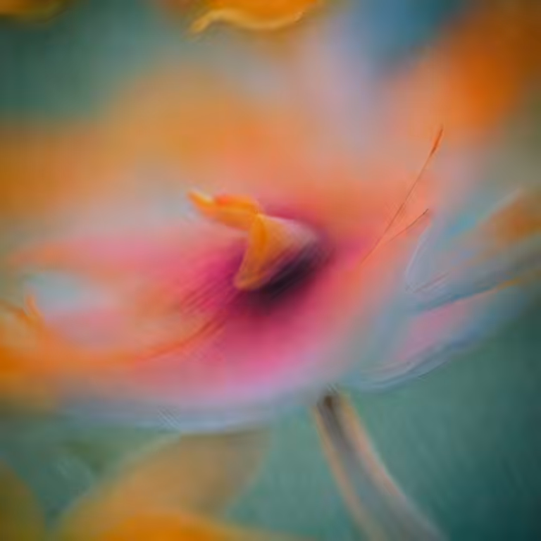 Flower #13