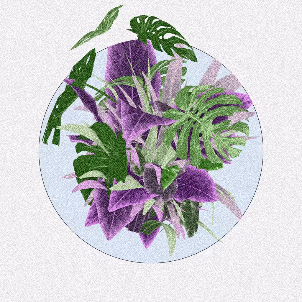 Botany #140