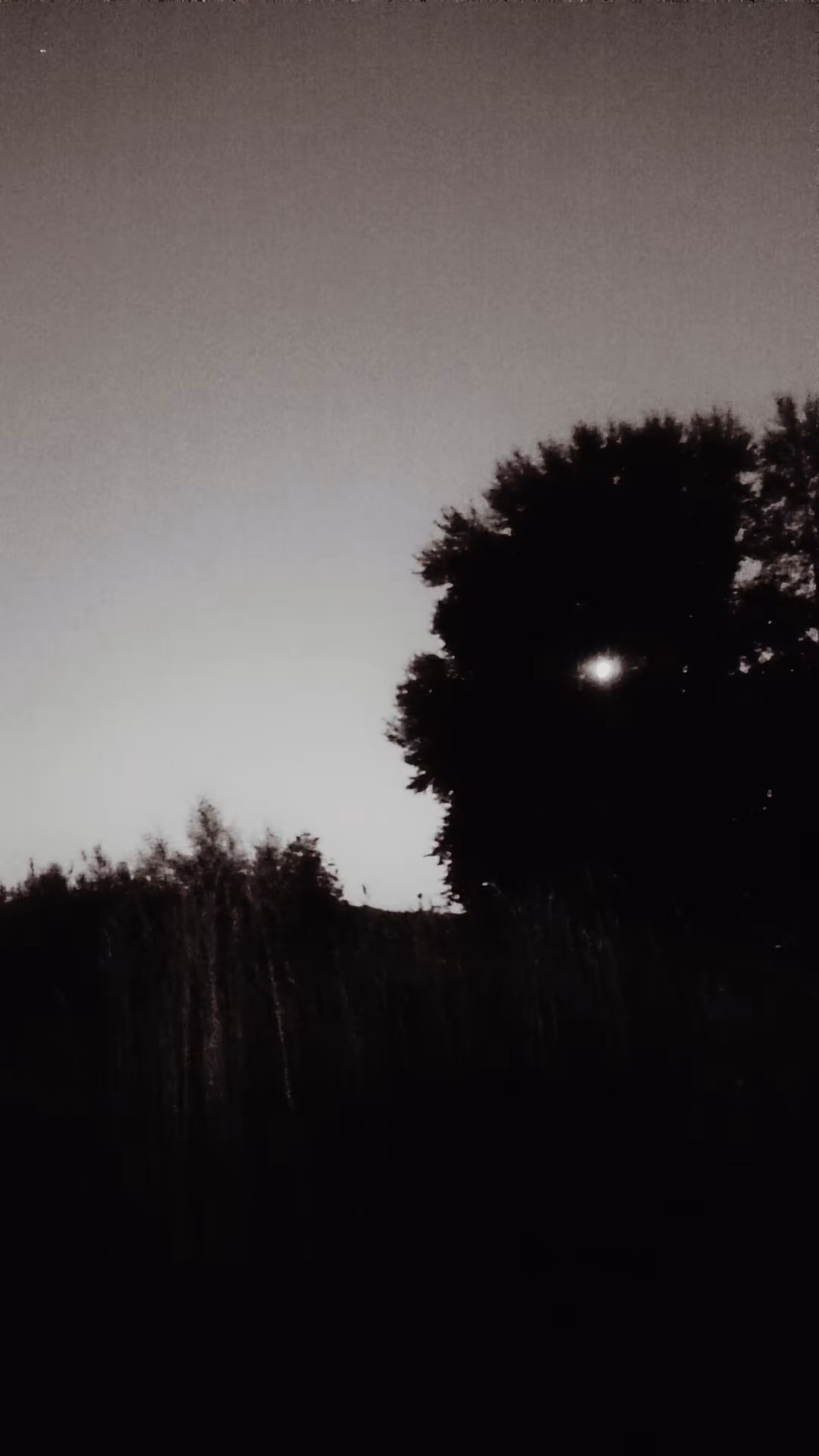 Photos: untitled