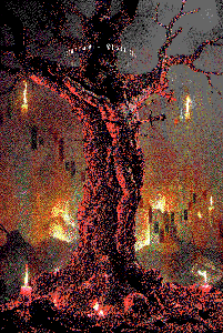 𝕹𝖔𝖑𝖎 𝖘𝖕𝖊𝖈𝖙𝖆𝖗𝖊 𝖈𝖍𝖆𝖗𝖙𝖆𝖘