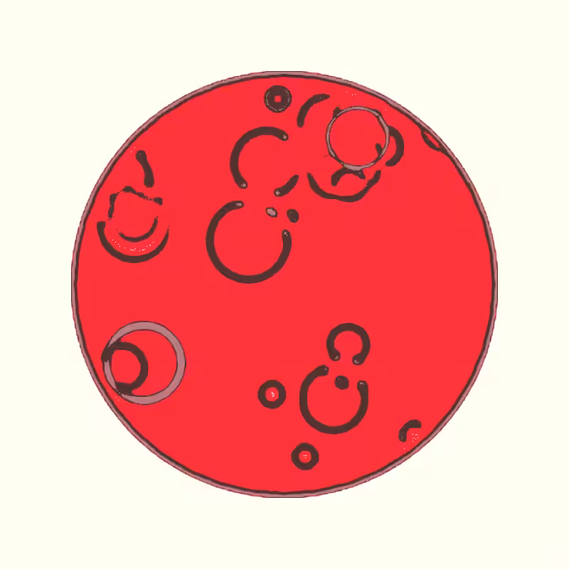 Cheap Petri Dish #49