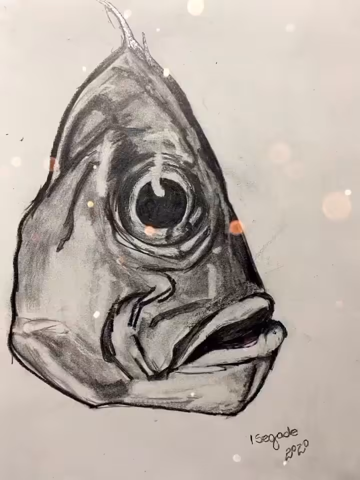 Fish head