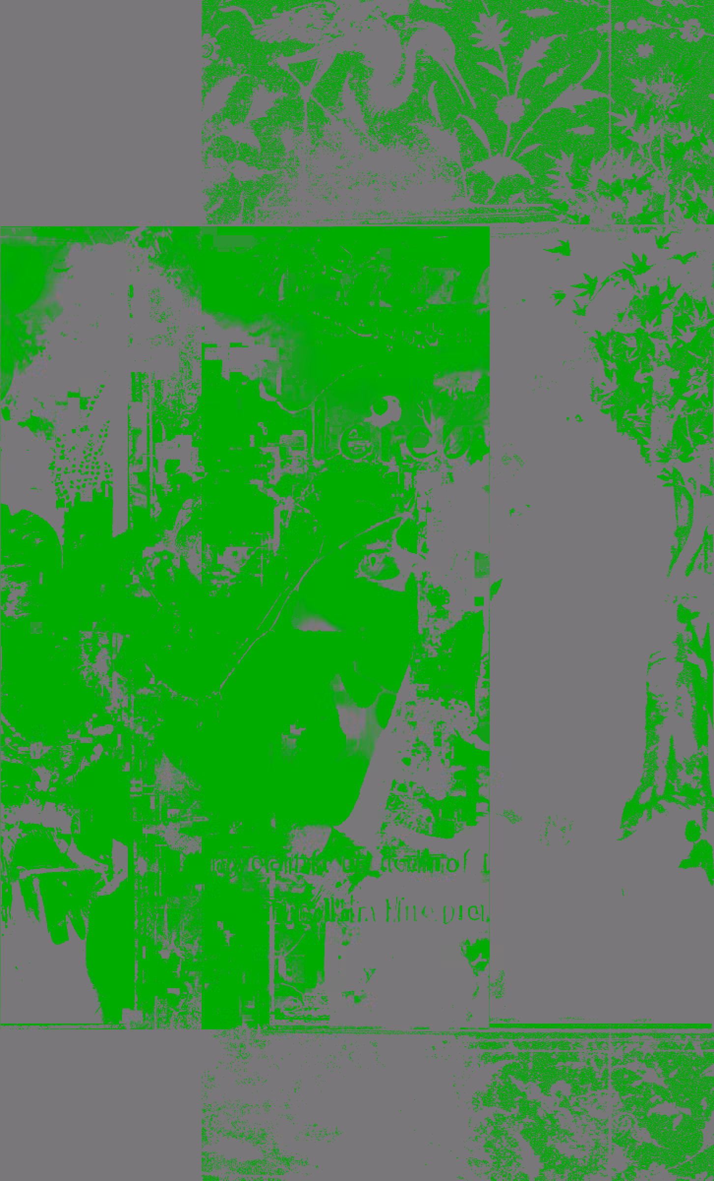 The leaf and the tree