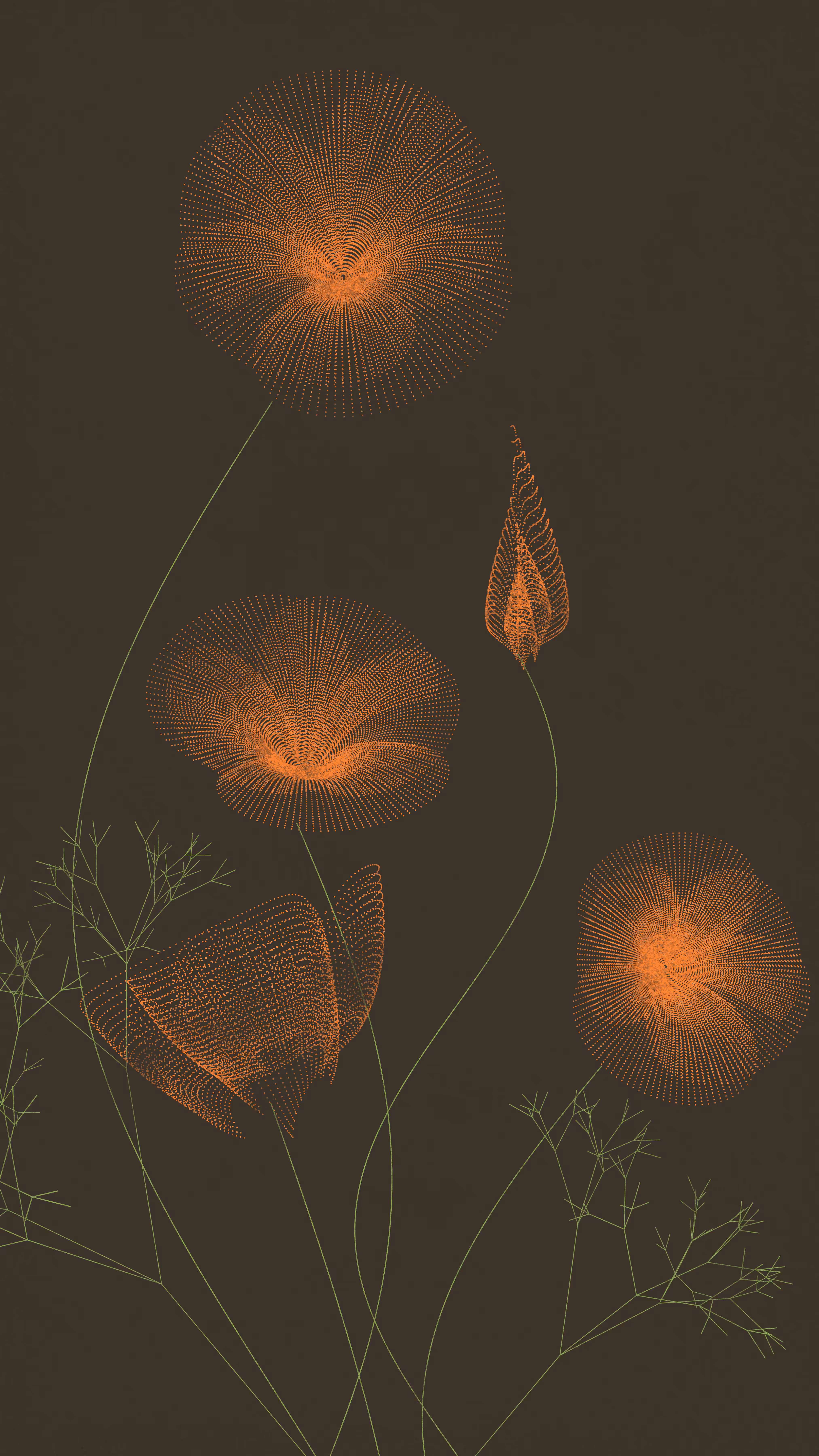 Flower Study #4