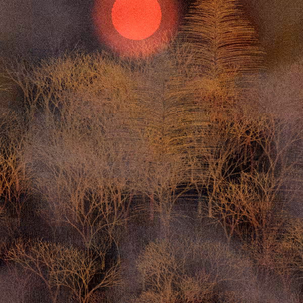 Moonlit Native Bush #9
