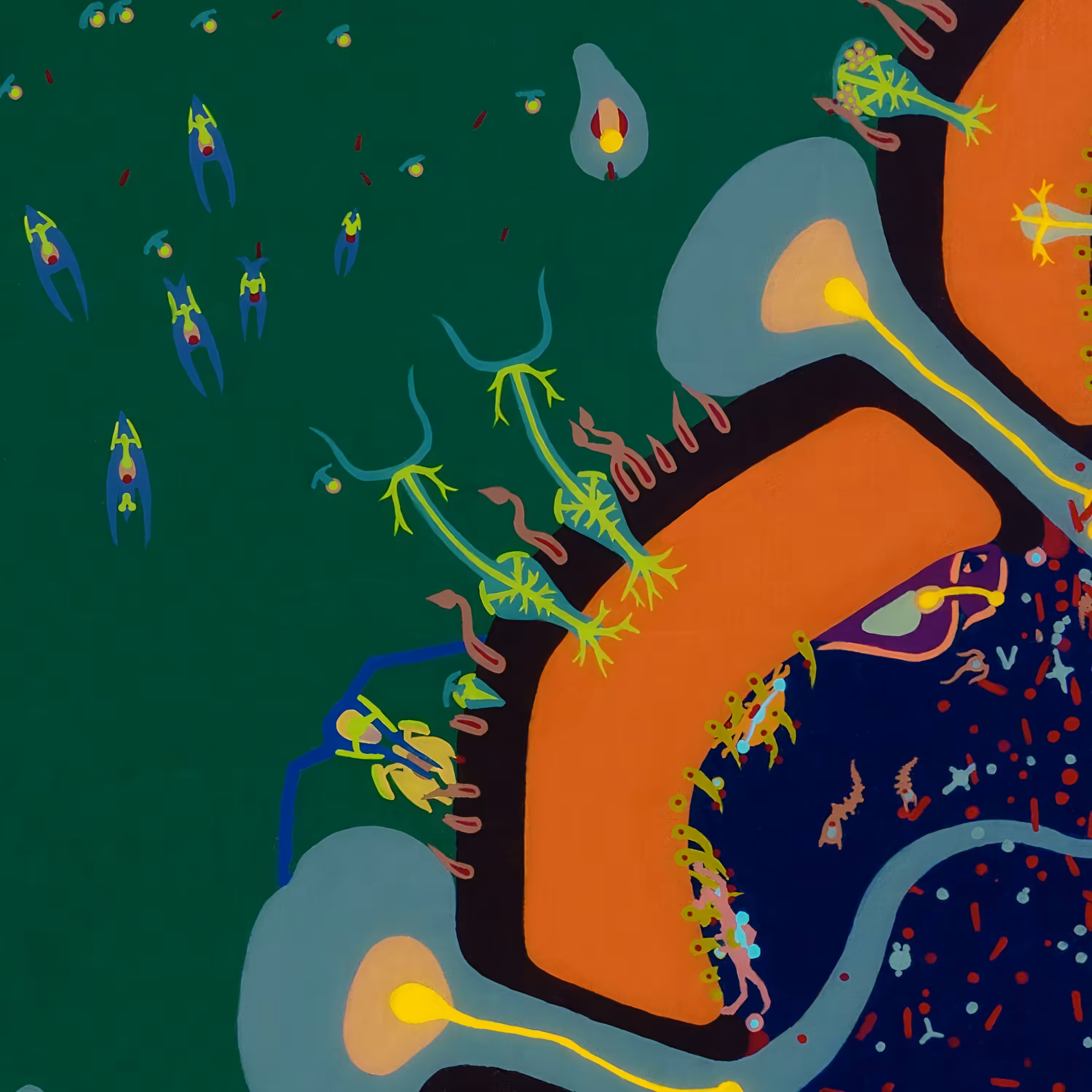 #11E-Triptofelia Spawning