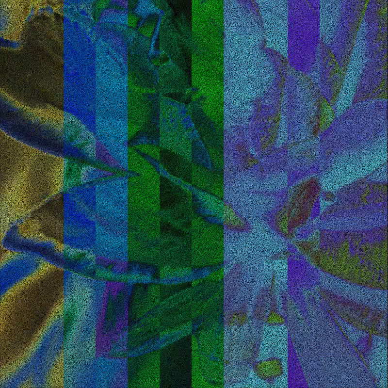 CLDCSMC #185