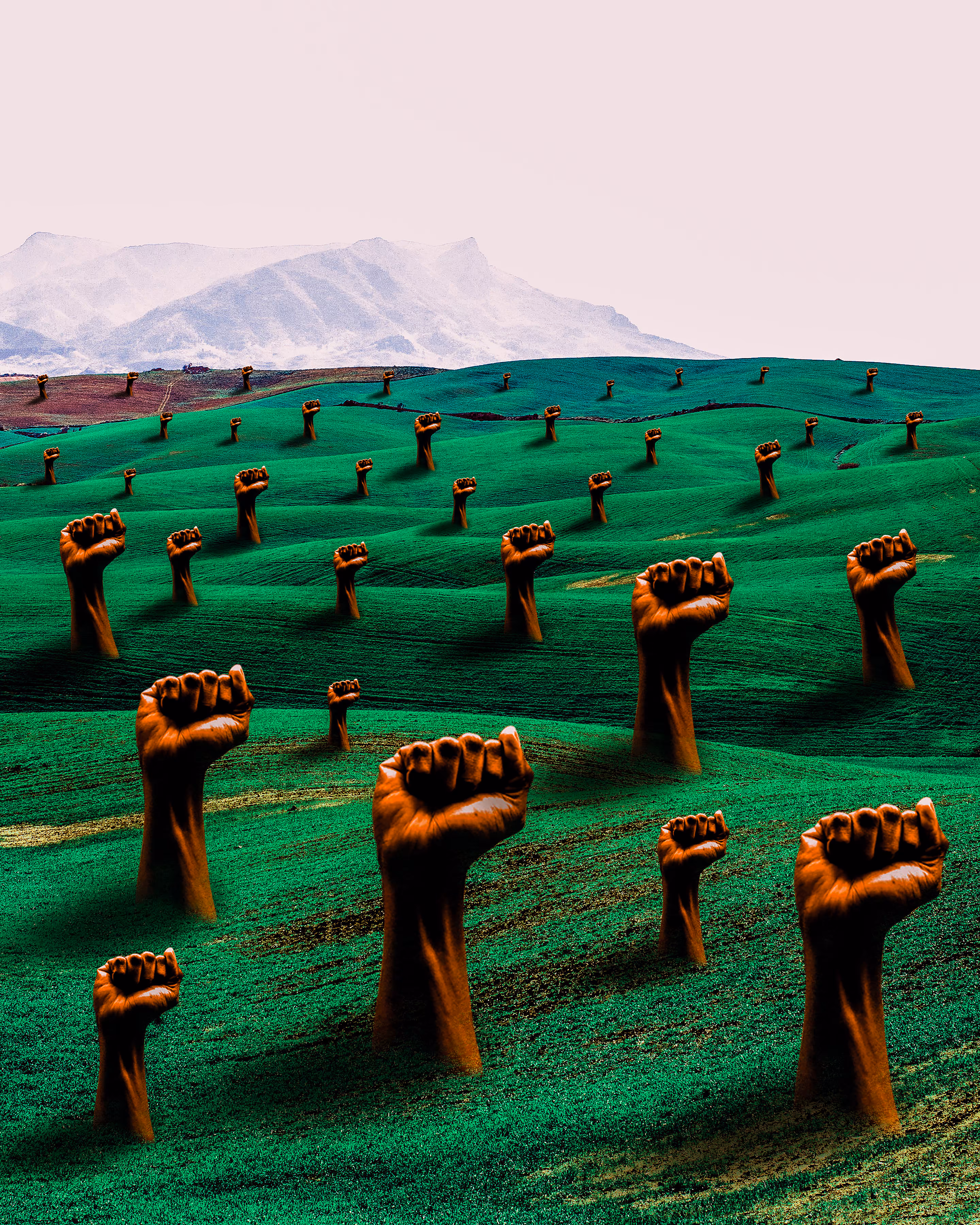 FIELD OF JUSTICE