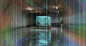 Fever Dreams: Aquarium
