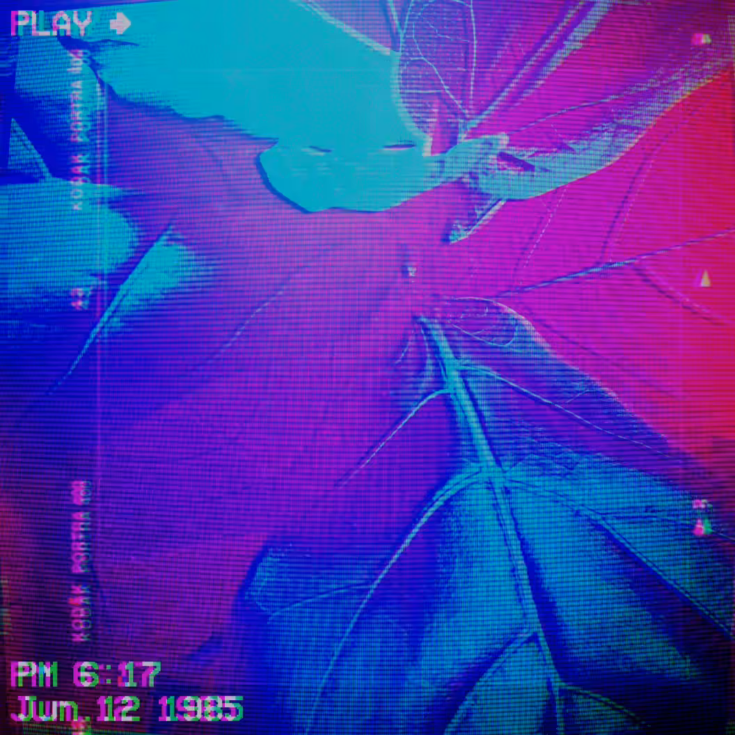 ◦ VAPORPLATE #01 ◦