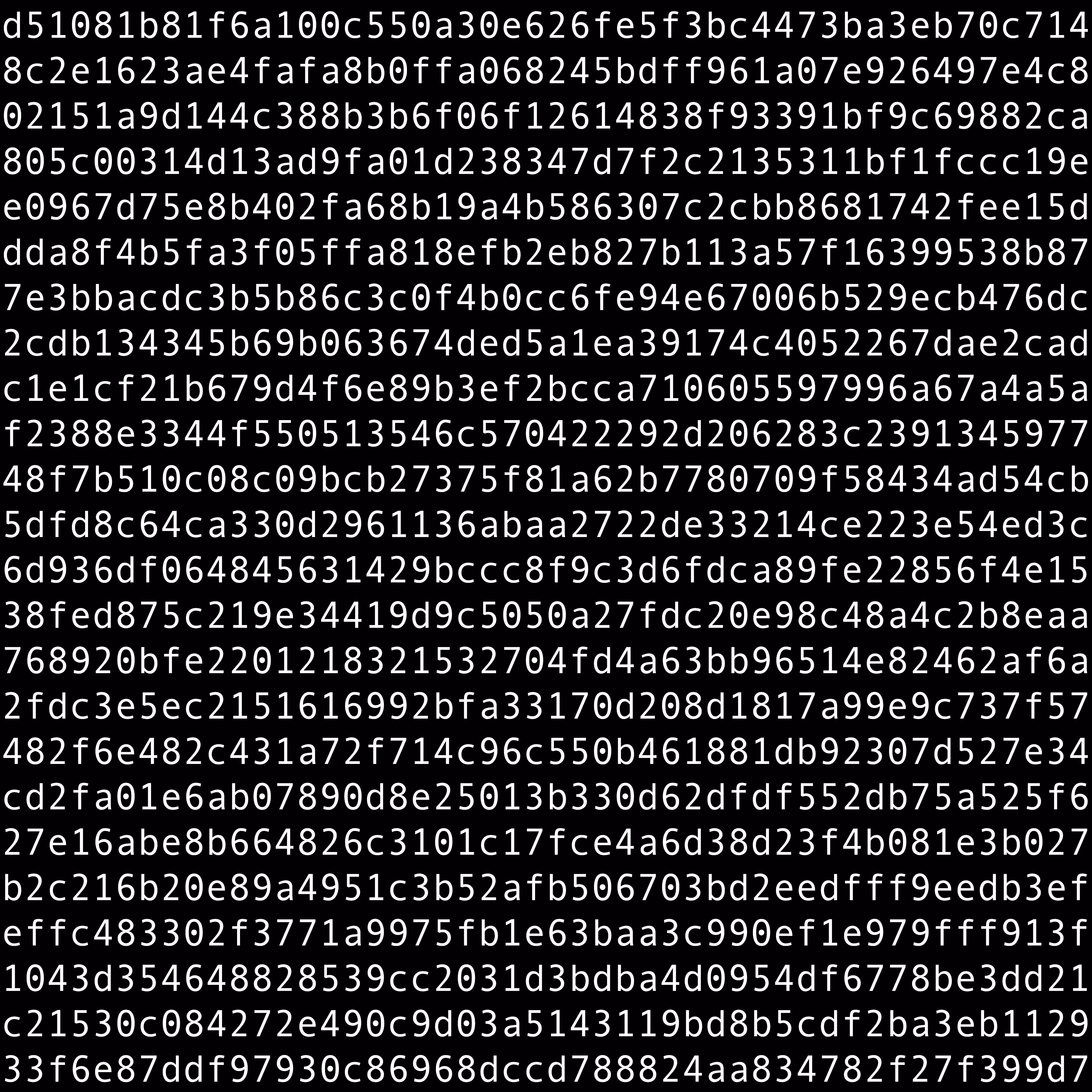 1111 #0271
