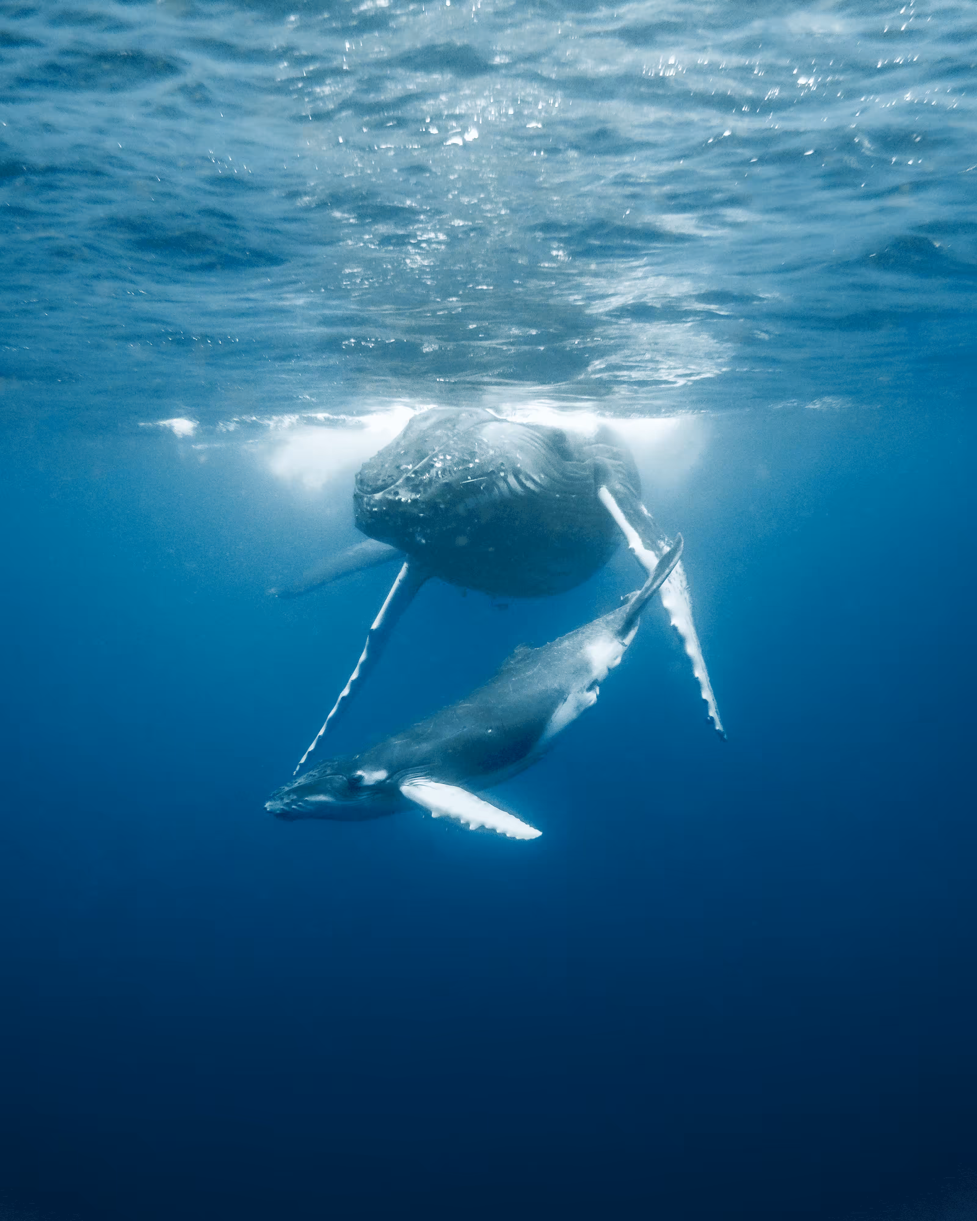 “Into The Blue” #70
