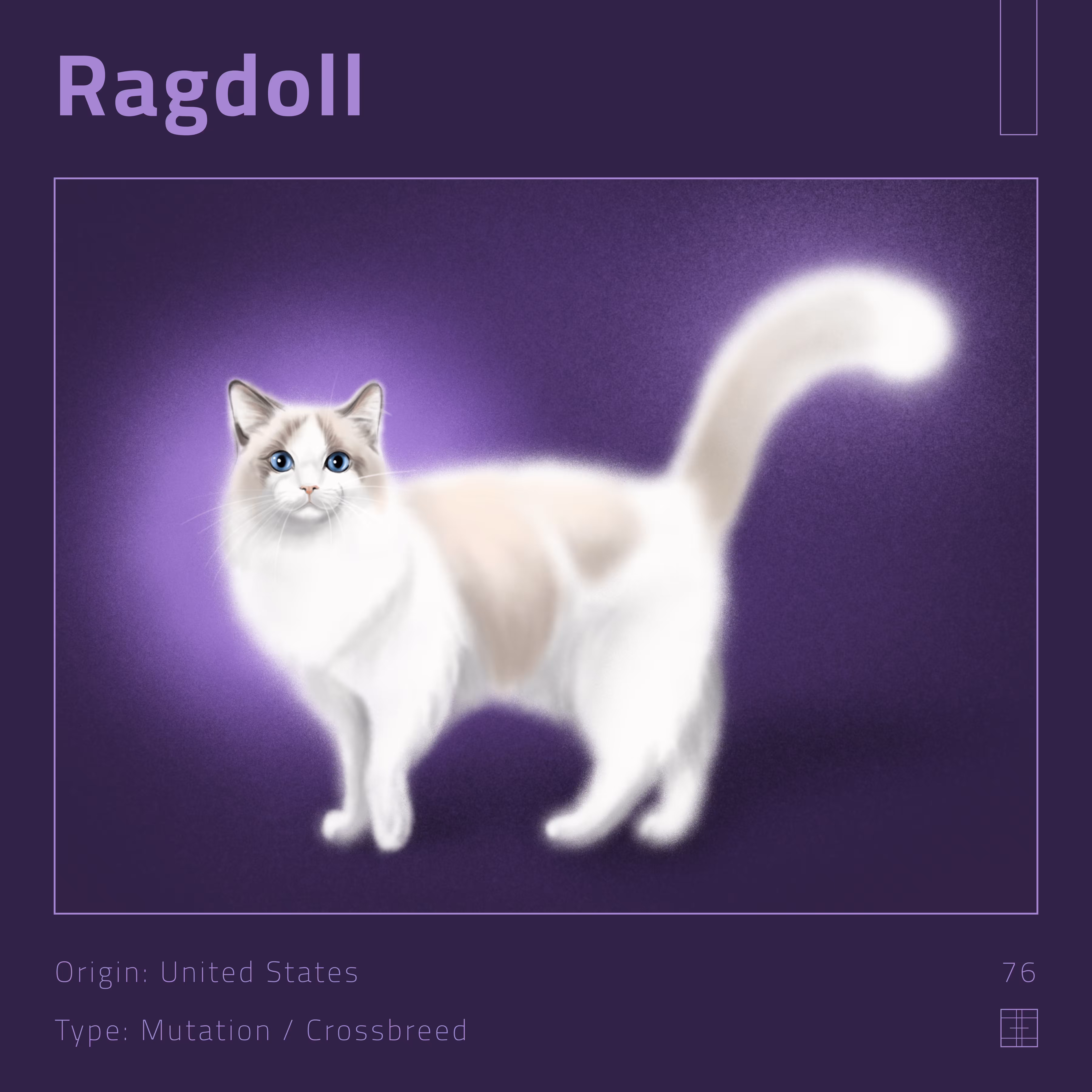 76 – Ragdoll