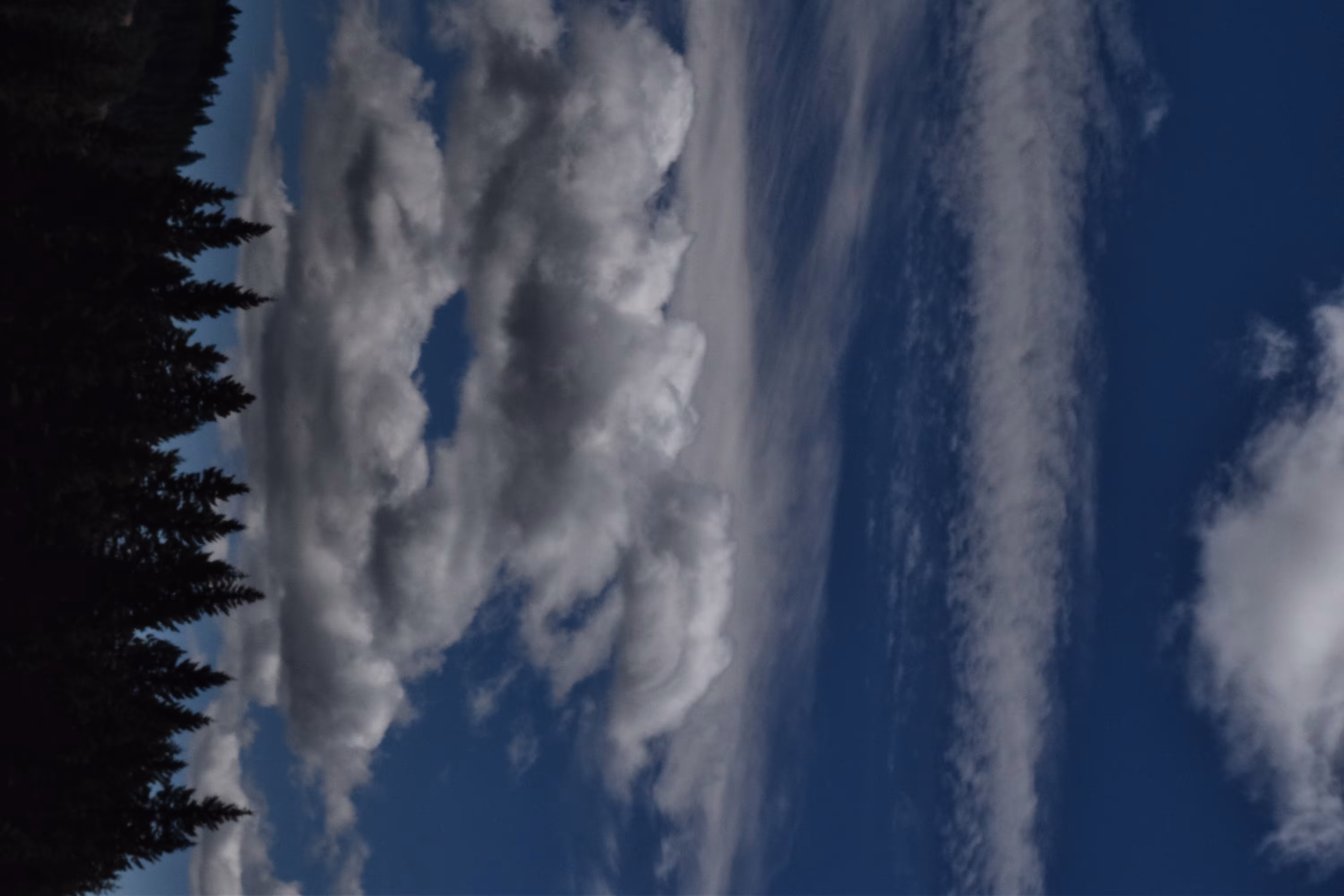 The Sky Above