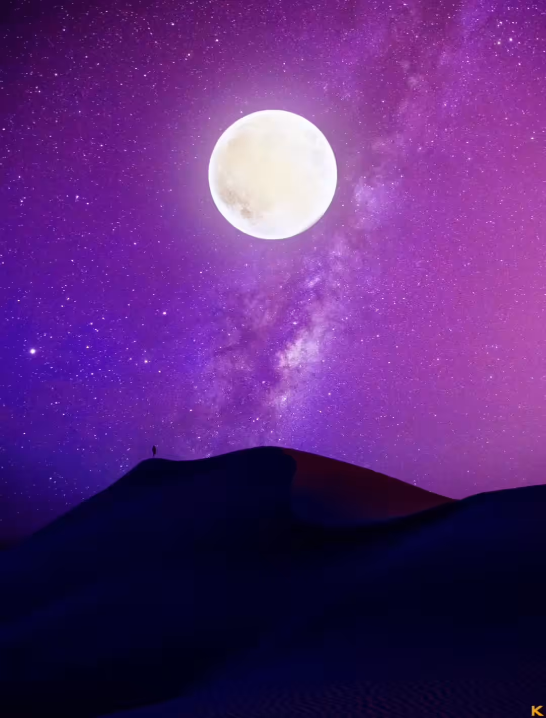 The Light of The Universe