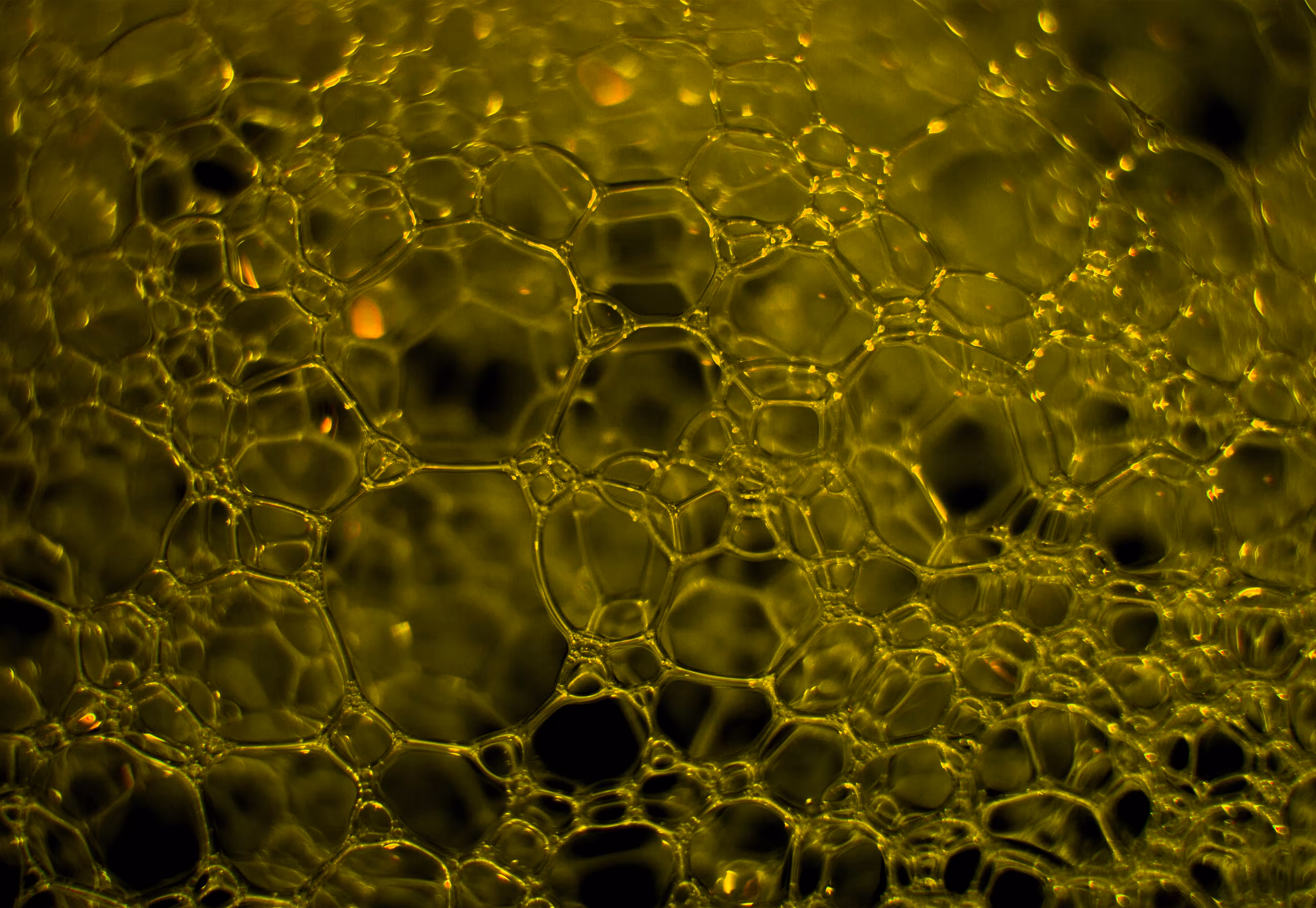 Abstract World of Soap Bubbles: #64 Bubbles