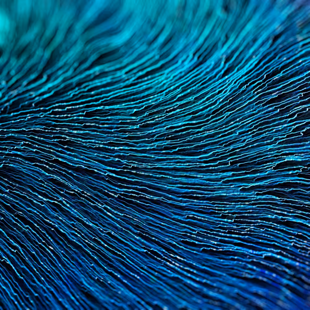 Blue and dirty one
