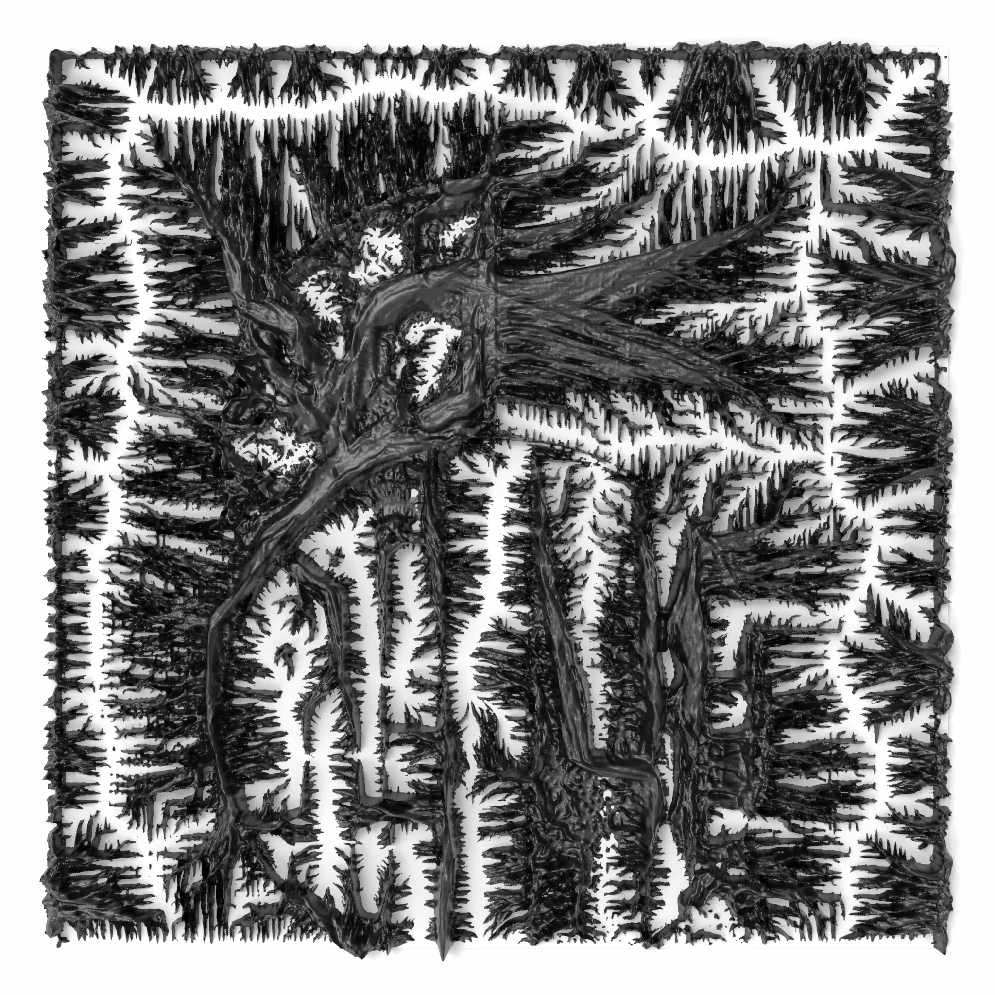 BW Algoscapes 36