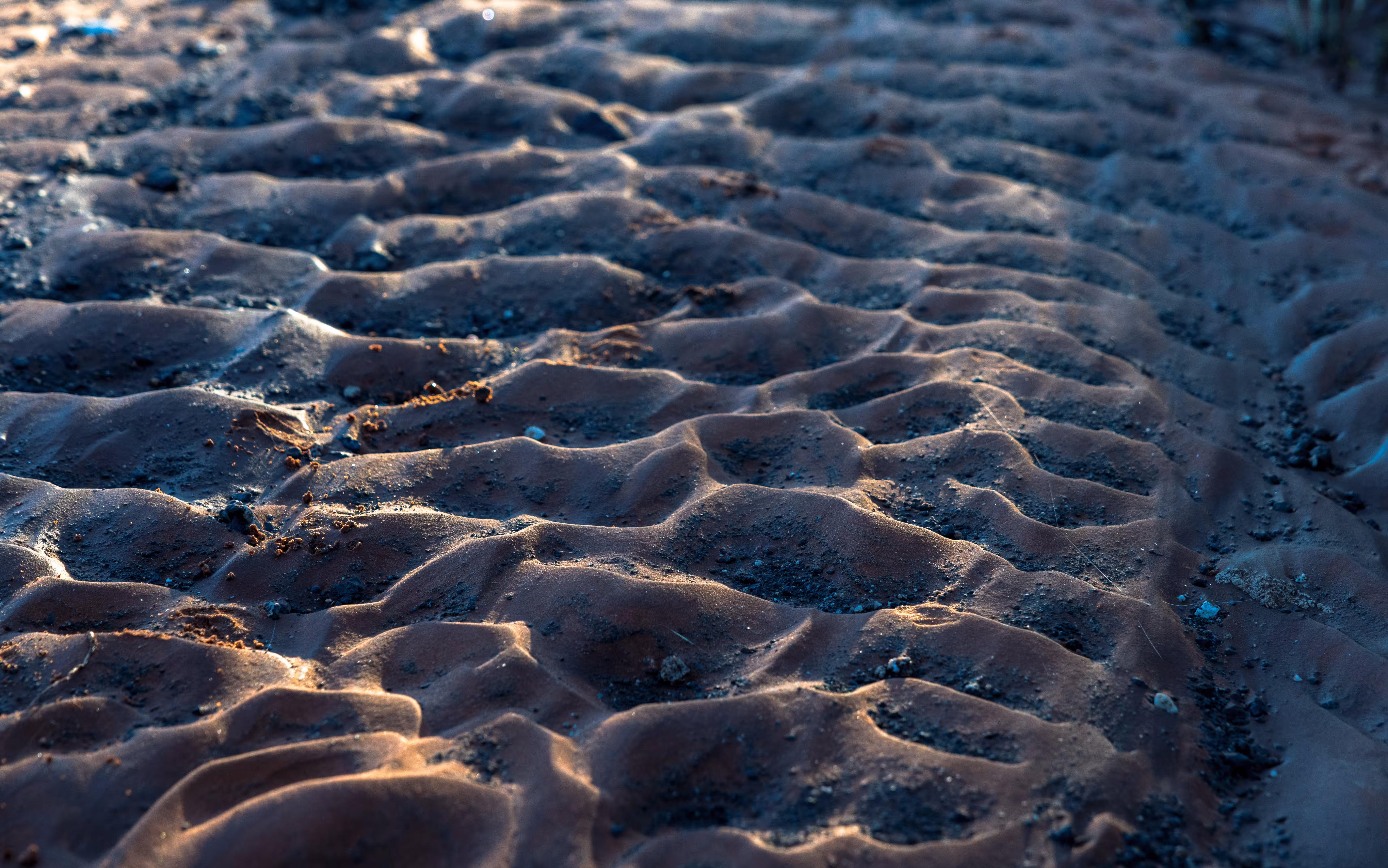 REPOSE - Evening Mantras (12-15 Tez): Fresh Ripples
