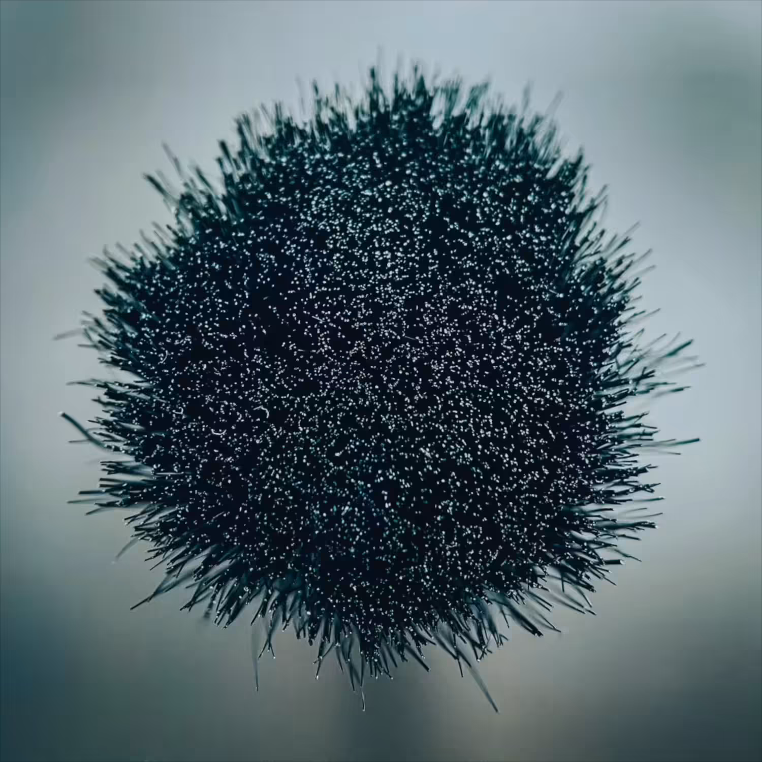 Spiky Amorphous Formation