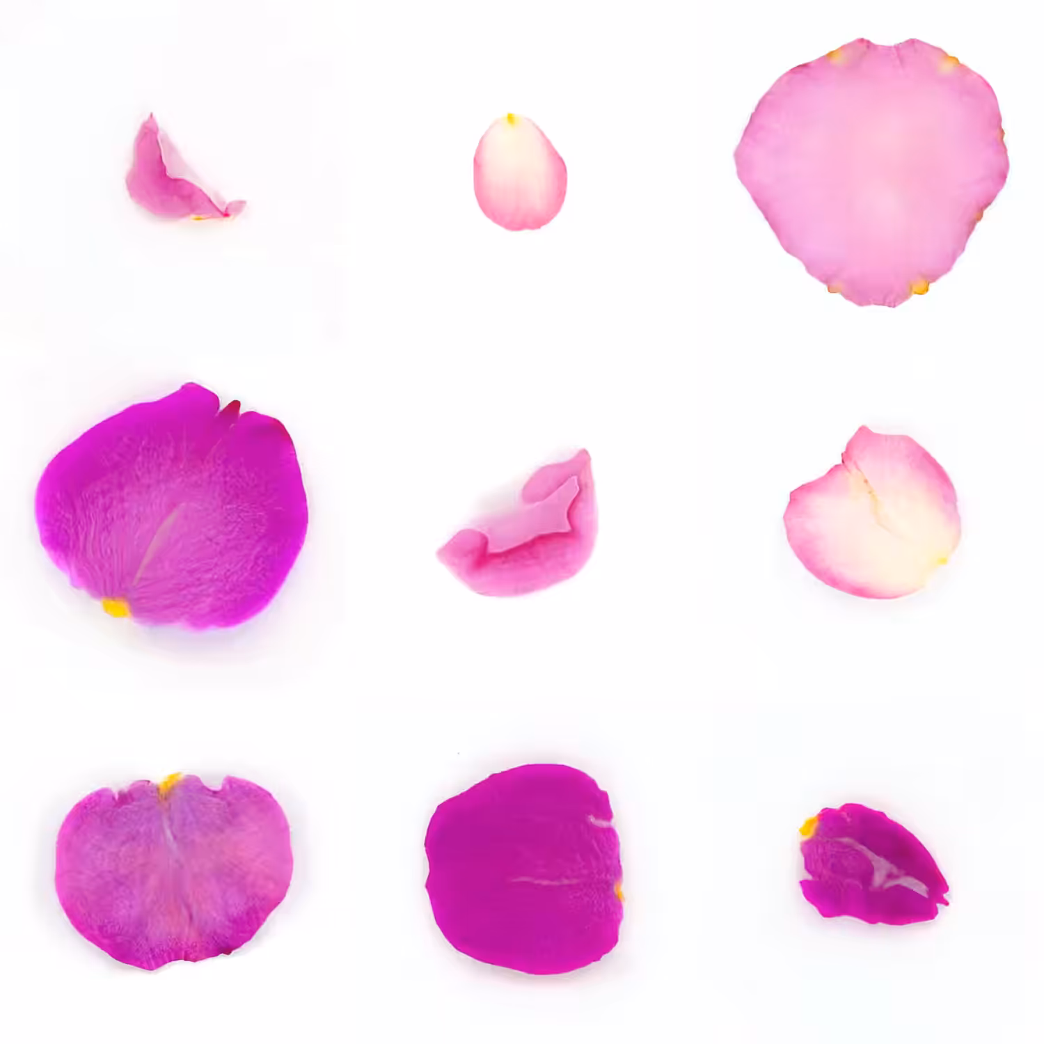 Infinite Petals 3x3#1984
