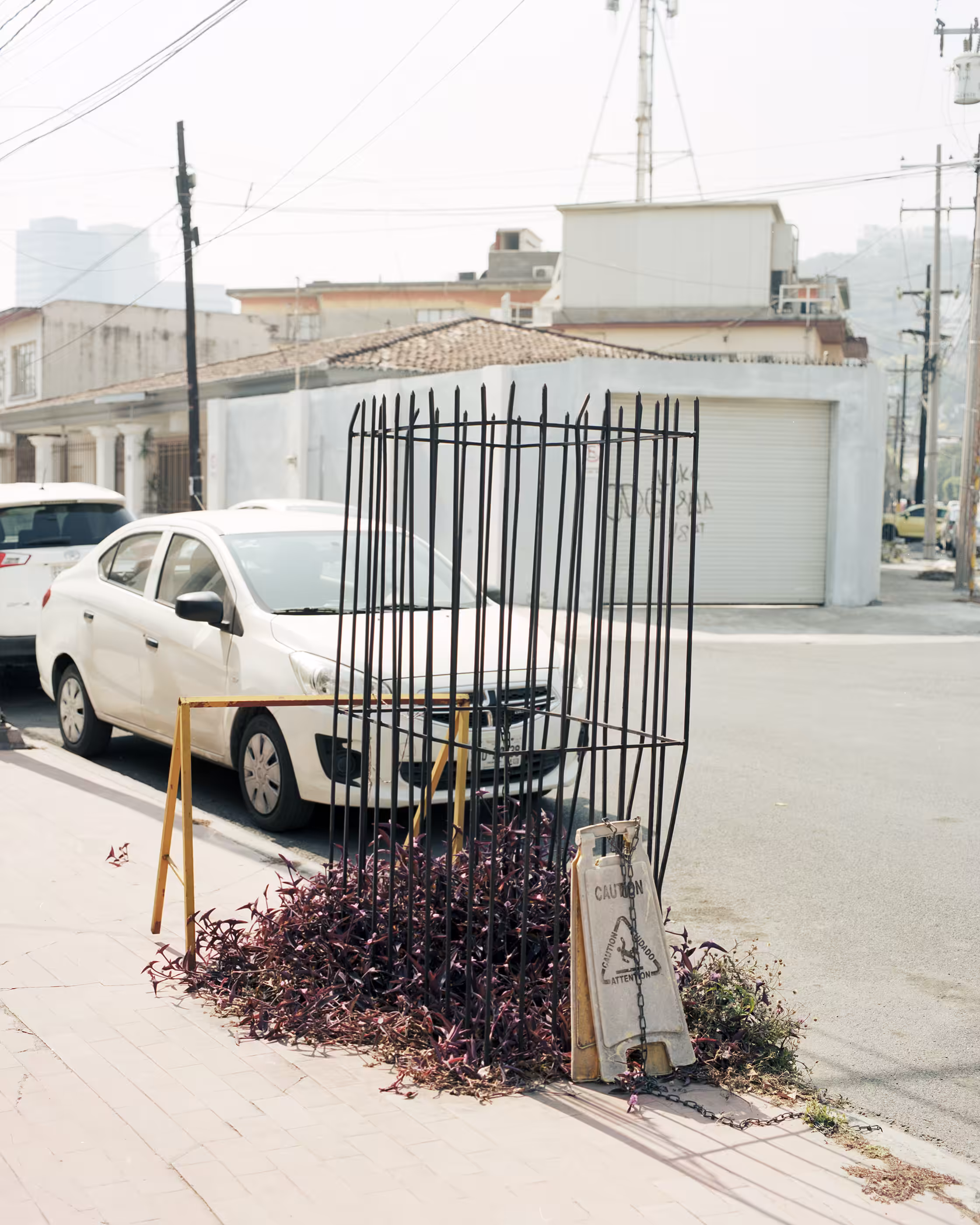 A Cage For Plants