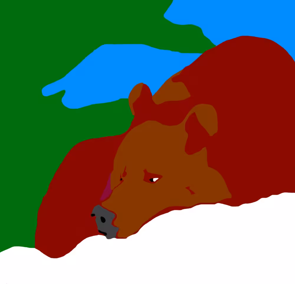 L'Ours David