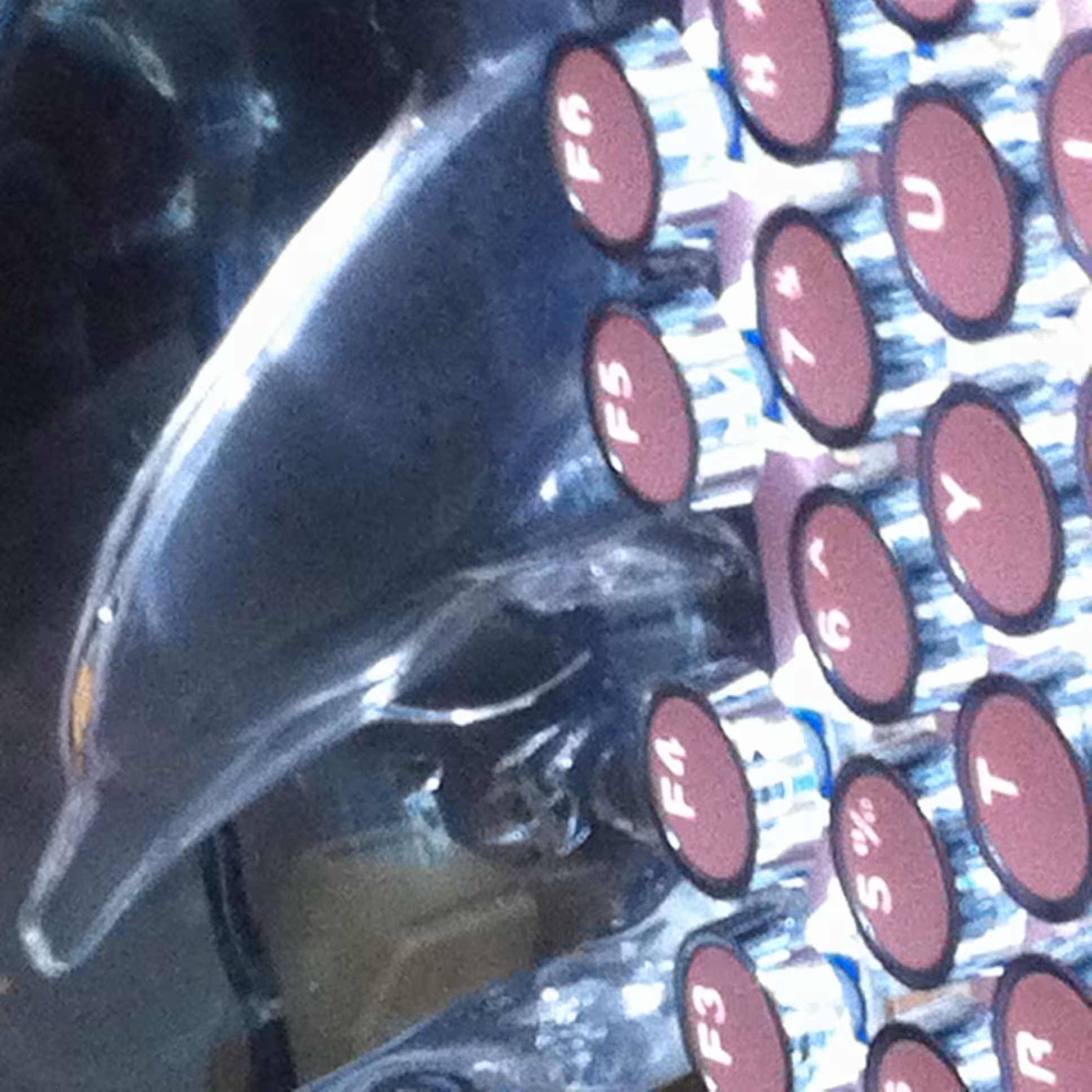 CyberDolphins.jpeg