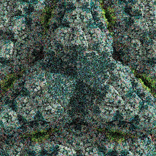 Lichenoid forms #16